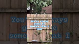 Spring into Summer with Lyrics by Lizzy Mc Alpine #song #birds #trending #shorts
