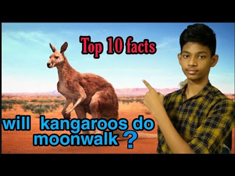 First food eaten in space/10 interesting facts/in తెలుగులో/DEC FACTS