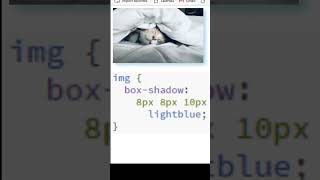 CSS filter drop shadow