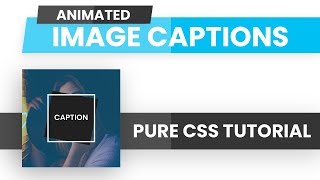 Animated Image Captions CSS | CSS Image Hover Effects | CSS Tutorial
