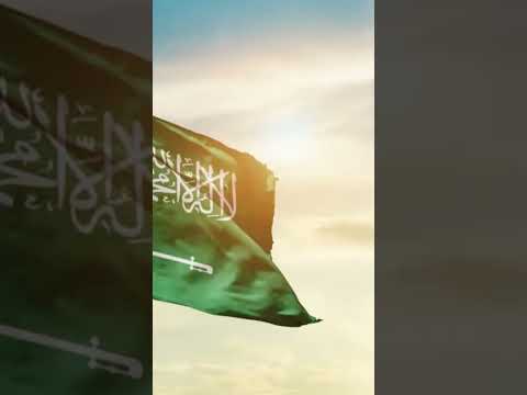 What Will Happen To The Line Project? #saudiarabia #ksa #civilengineering