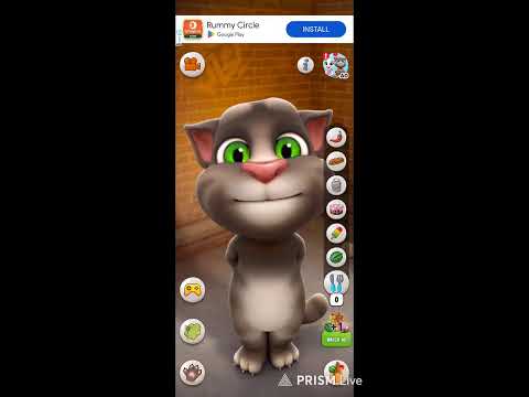 Talking Tom 