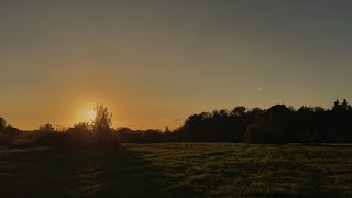 1 Hour of a Beautiful Sunset in the Field with Relaxing Sounds of Birds