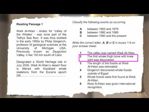 Reading: Unit 8: Classification Tasks