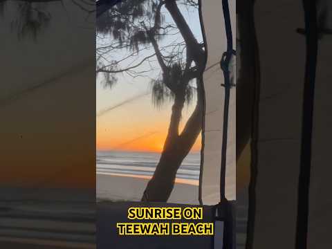 Why I Love Camping Mornings ⛺🌅 #Shorts #CampingLife #SunriseViews #TentLife #CampVibes