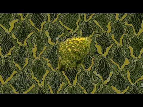 bloomtodeath