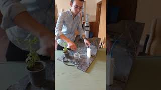 computer Science projects (2)