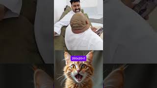 give this video title 😂  (warning answer) #cat #meme #funny #dance