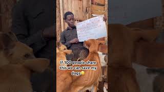 Visit my link in bio for donations towards feeding them #help #gofundme #puppy #pets