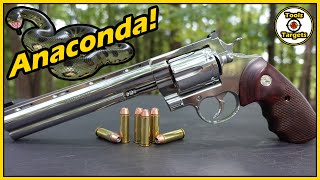 The BIG Snake!...Colt Anaconda .44 Magnum Talo Edition Quick Range Review!
