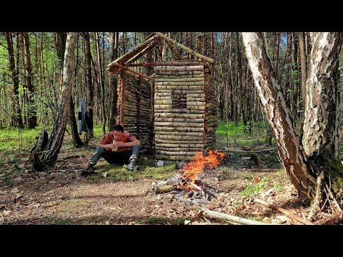 The Fascinating Birch House / Built the Secret House