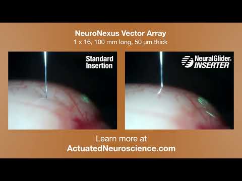 NeuralGlider NeuroNexus V16 Vector Array Comparison