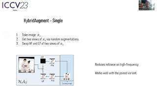 HybridAugment++: Unified Frequency Spectra Perturbations for Model Robustness