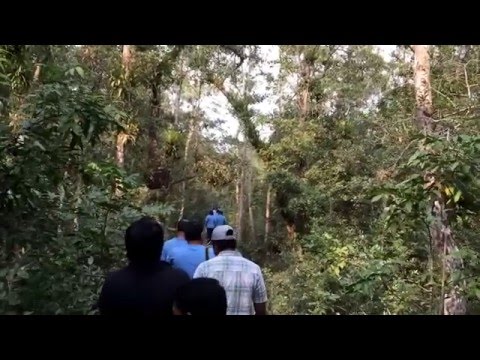 Sundarban Trip 2016