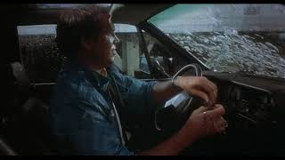 Modern Problems (1981) Ken Shapiro