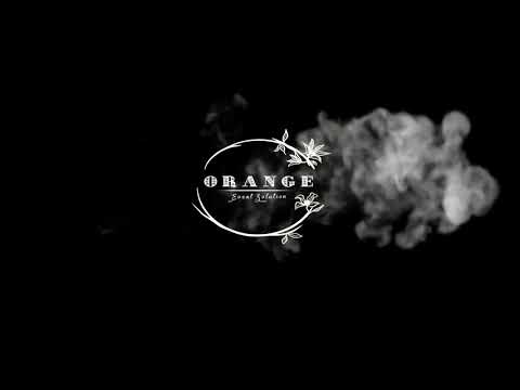 Logo Animation