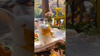 Cute rabbit eating #cute #cutebaby #cuteanimals #cutelife #viral #shorts #trending #rabbit
