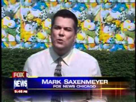 foxnewsreport82806.wmv