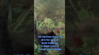 Socially Isolate and get Baked Challenge
