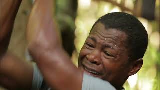Risking his life to sell wood | The roads of the impossible