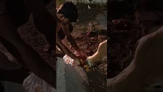 गौ सेवा : Himanshu Dwivedi #shorts #help #cow #himanshudwivedi #shortvideo #shortsvideo  #helpvideo