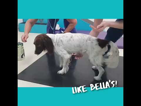 Wanna be a Neurology Nurse at The Ralph?