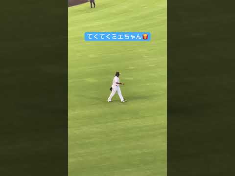 [4K] 倉敷 てくてくミエちゃん