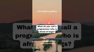 Fresh Brewed Fun 13 - puns and jokes tailored for the marketing and web development world.