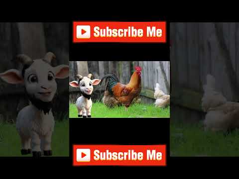 he Cutest Hen Videos Online! #animals  #shorts
