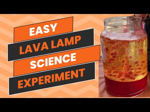 Lava Lamp: Easy Science Experiment for Kids