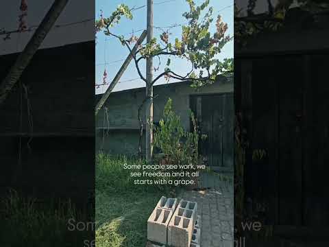 we’re finally ready for something different.It’s time to make roots. 🌱To build a home #homesteading