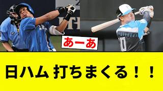 [INSANE!!!] Nippon-Ham Fighters are crushing it!! [Pro Baseball Reaction Compilation]