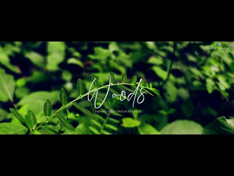 WOODS | iPhone 15 Cinematic 4K | Blackmagic Camera App