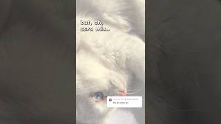 WHITE #aesthetic #colors #fypシ #snapchat #pastel #relatable #trending #trend #shorts #white