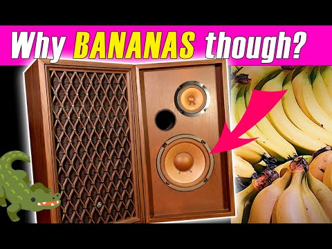 Recapping A Pioneer CS-33A Speaker. A Totally Bananas Repair Project That Anyone Can Do!