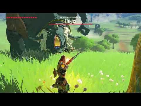 Postgame BOTW is funny... [BOTW]