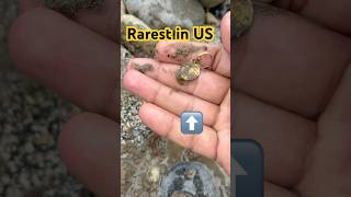 Rare in USA #metaldetecting #gold #beach #goldcollector #golddiscovery #treasuretrove #goldfind