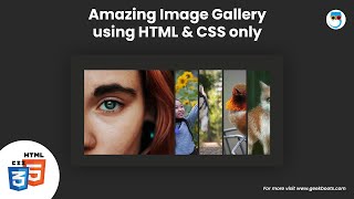 How to create a Amazing Image Gallery using HTML CSS only | Geekboots
