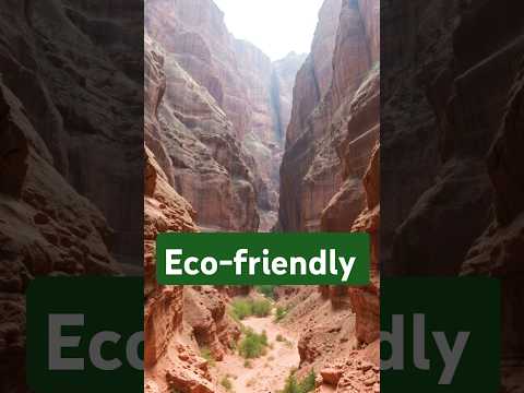 #Echoes of Conservation!