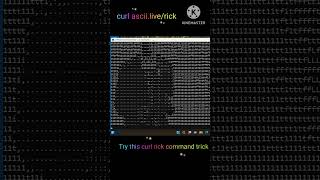 Curl Command Rick Roll Hack: Surprise with a GIF!