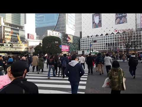 Wait for it ..... Shibuya crossing. Japan.