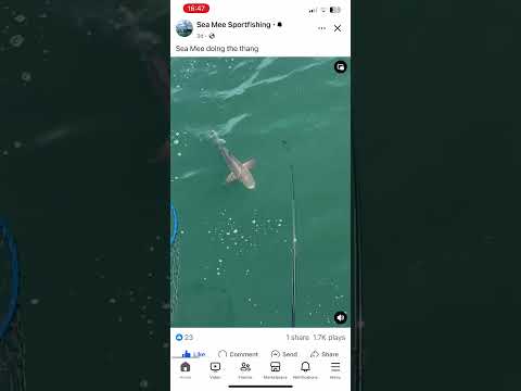 Fishin Ches Bay on vessel SEA MEE! Great Skipper, Mate, and friends! Hit ‘em up!#seameesportsfishing