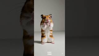 🐾 Hope This Video Brings You Happiness Today! 💖✨ #HappyVibes #AI #CozyCrew #FeelGood #Happy #Hamster