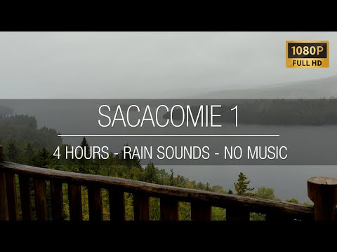 Sacacomie - ASMR Rain Sounds White Noise 🌧️🌲