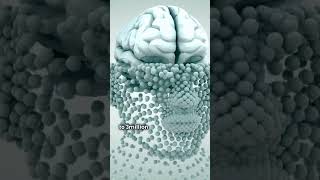Unknown Facts About Your Brain 🧠 #Shorts #Shorts #BrainFacts #MindBlowingFacts
