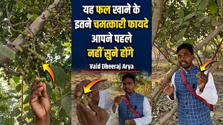 यह फल खाने के इतने चमत्कारी फायदे आपने पहले नहीं सुने होंगे | Vaid Dheeraj Arya