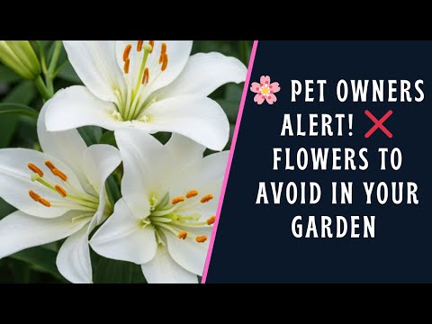🐾 Pet Owners, Beware! 🌸 7 Flowers That Can Be Toxic to Your Pets | Seniors Green Thumbs 🐾