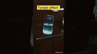 #Tyndall effect! Scattering of light! Tyndall effect