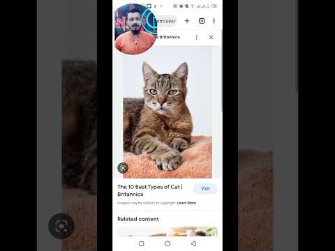 WHATSAPP NEW TRICKS #share #shortvideo #short #ytshorts #techshorts