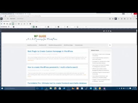Microthemer Live CSS Editor Demo